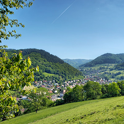 Bezaubernde Schwarzwaldlandschaft in Münstertal